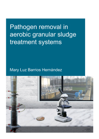 Imagen de portada: Pathogen removal in aerobic granular sludge treatment systems 1st edition 9781032139487