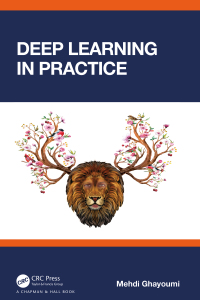 Cover image: Deep Learning in Practice 1st edition 9781032792910