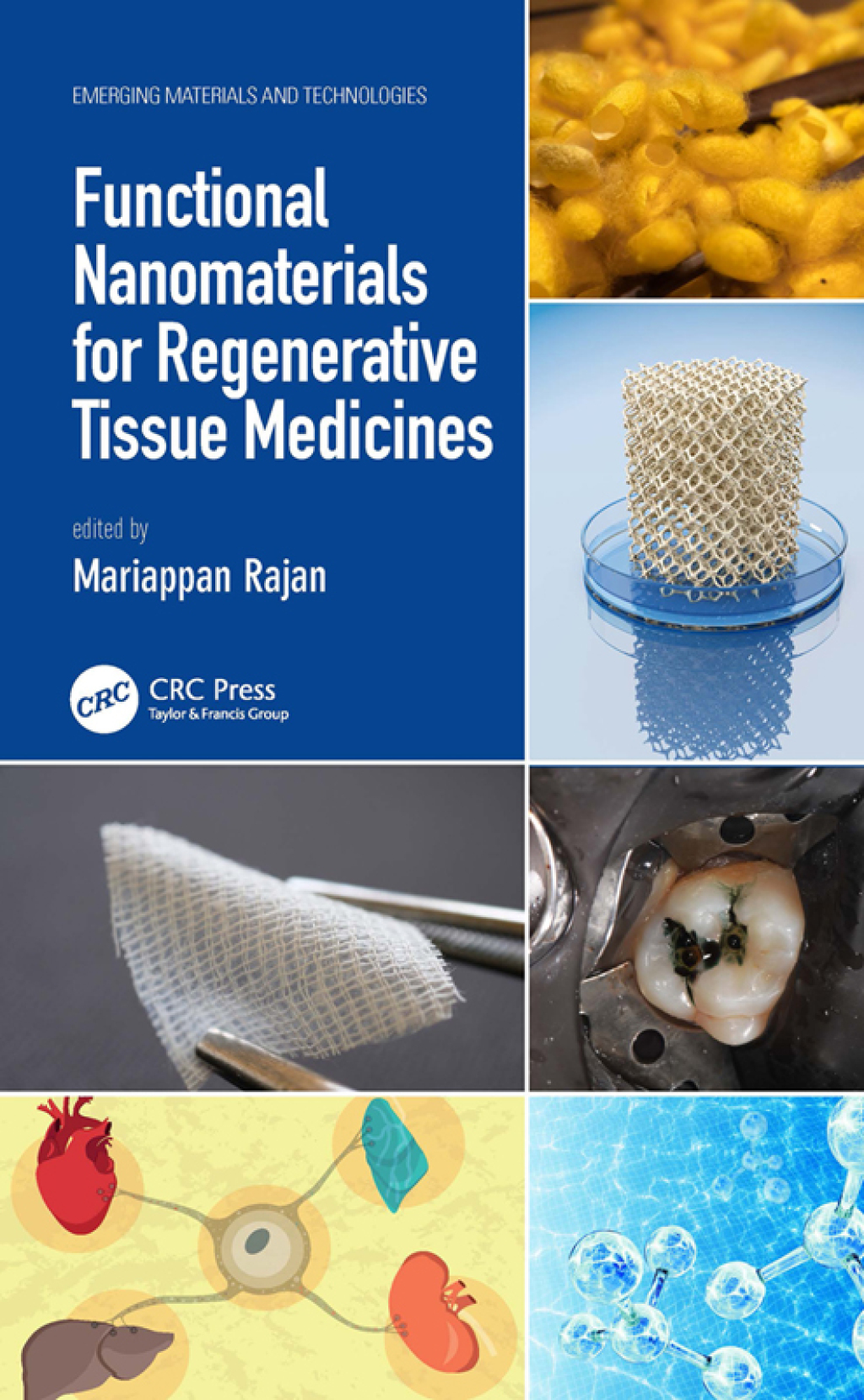 Functional Nanomaterials for Regenerative Tissue Medicines 1st Edition