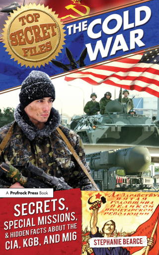 Immagine di copertina: Top Secret Files 1st edition 9781618214195