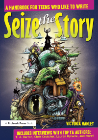 Cover image: Seize the Story 1st edition 9781877673818