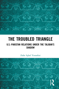 Cover image: The Troubled Triangle 1st edition 9780367744120