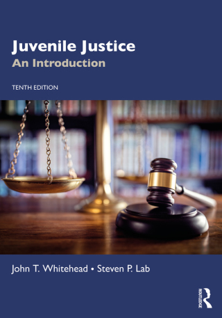 Imagen de portada: Juvenile Justice 10th edition 9780367763756