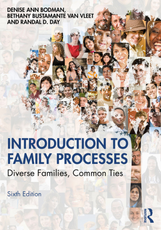 Cover image: Introduction to Family Processes 6th edition 9781032937144