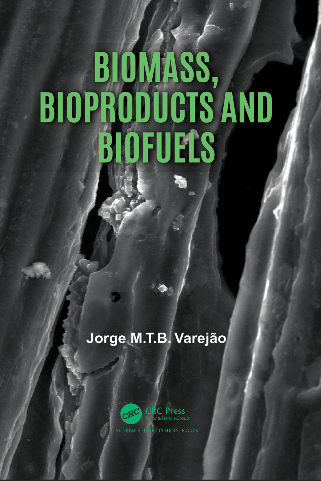 Biomass, Bioproducts and Biofuels 1st Edition