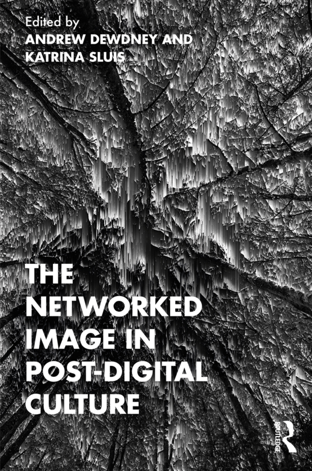 The Networked Image in PostDigital Culture  1st Edition eBook Rental