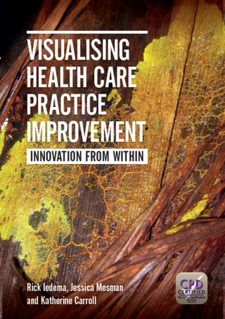 Cover image: Visualising Health Care Practice Improvement 1st edition 9781846194504