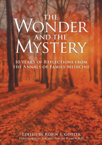 Imagen de portada: The Wonder and the Mystery 1st edition 9781846199820