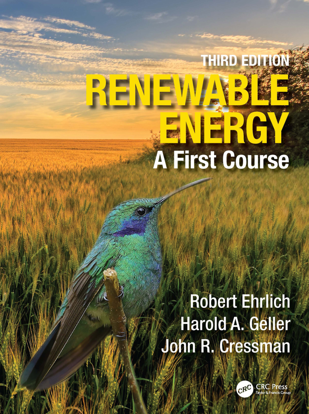 Renewable Energy A First Course 3rd Edition