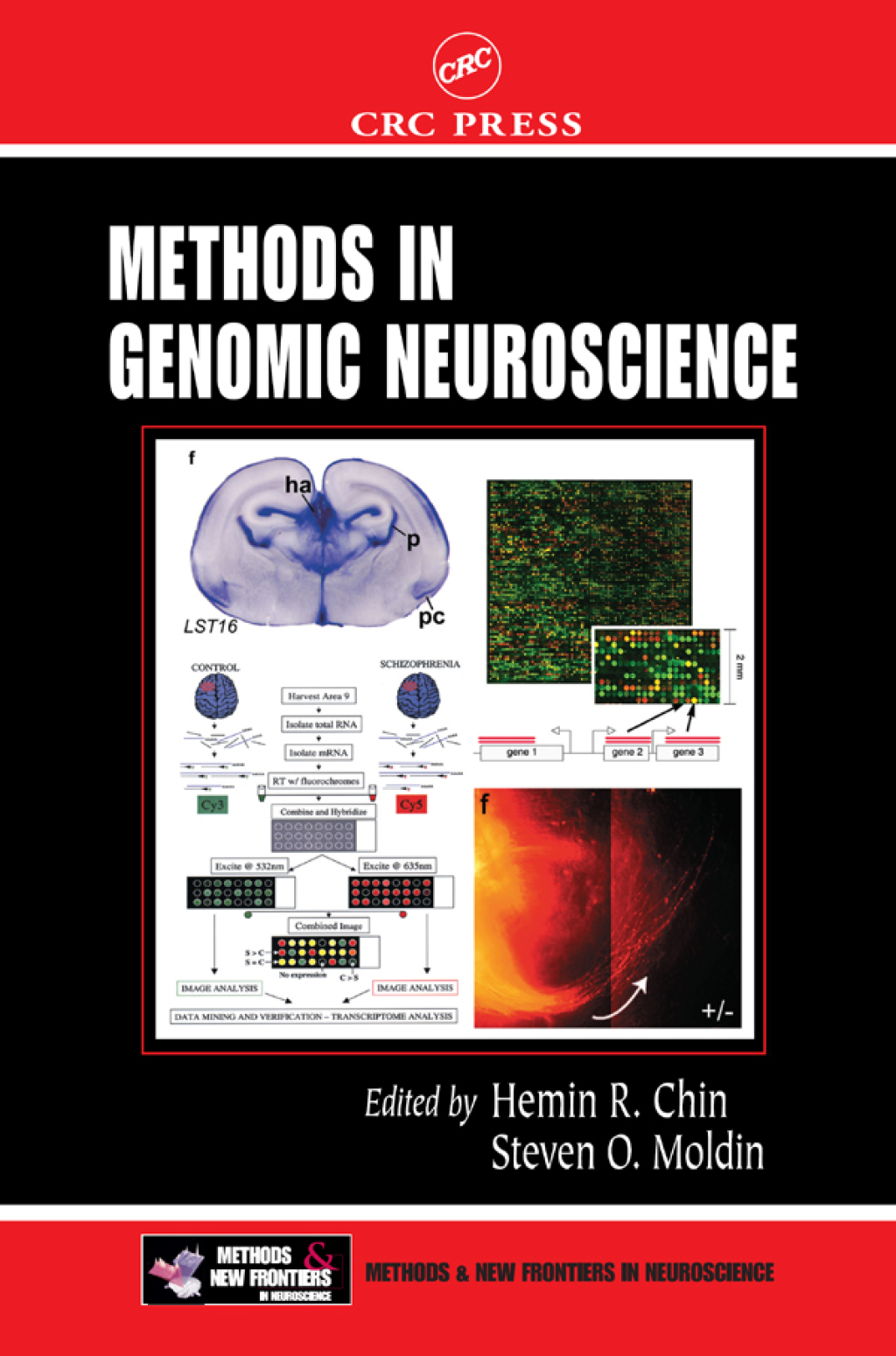 Methods in Genomic Neuroscience 1st Edition