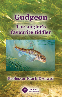 Cover image: Gudgeon 1st edition 9781032317298