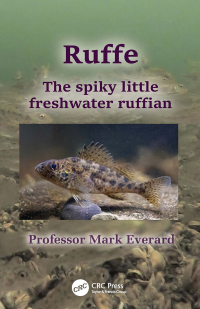 Cover image: Ruffe 1st edition 9781032317328