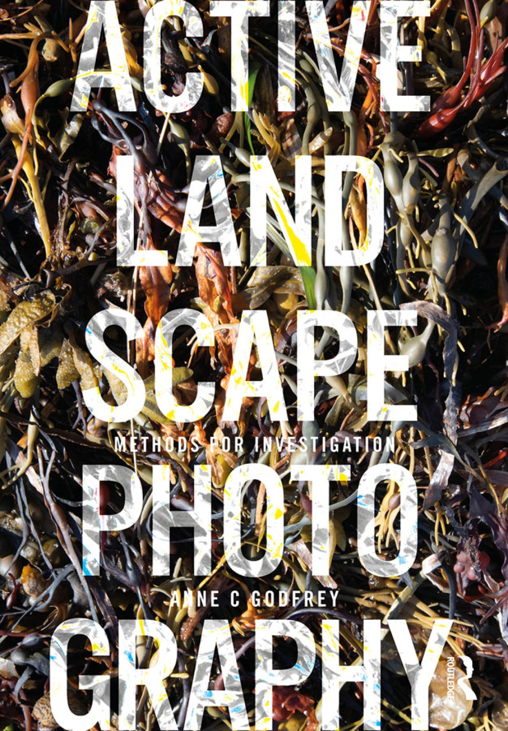 Active Landscape Photography Methods for Investigation 1st Edition