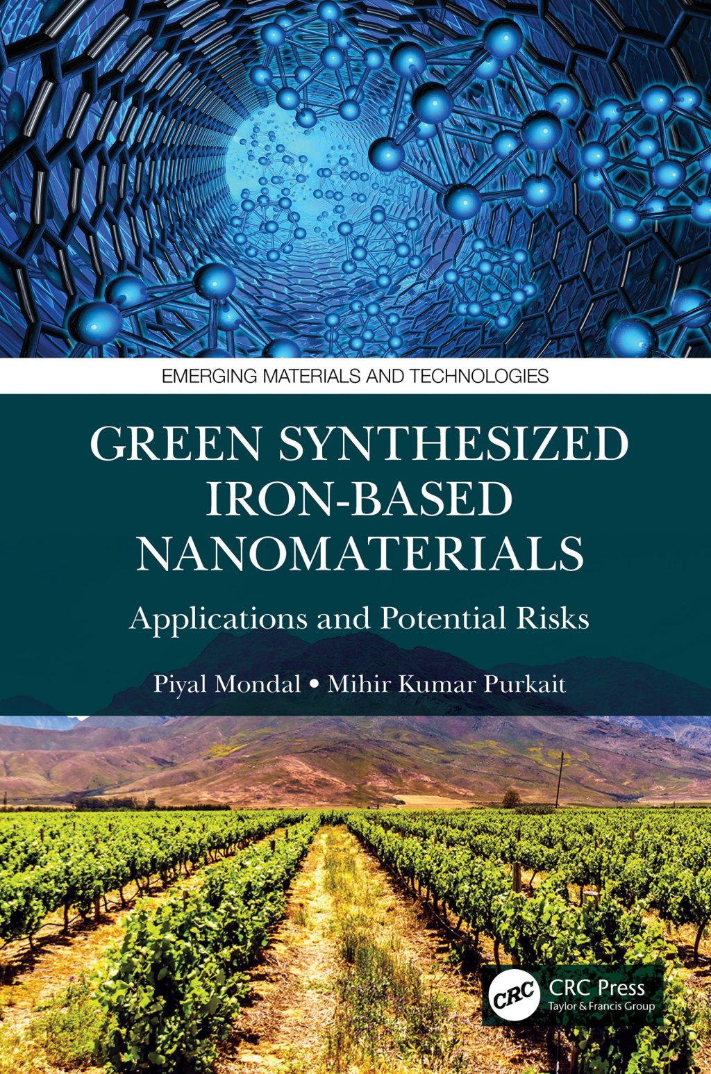 Green Synthesized Iron-based Nanomaterials Applications and Potential Risks 1st Edition