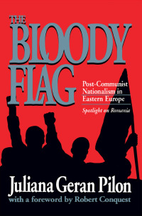 Cover image: Bloody Flag 1st edition 9781138534476