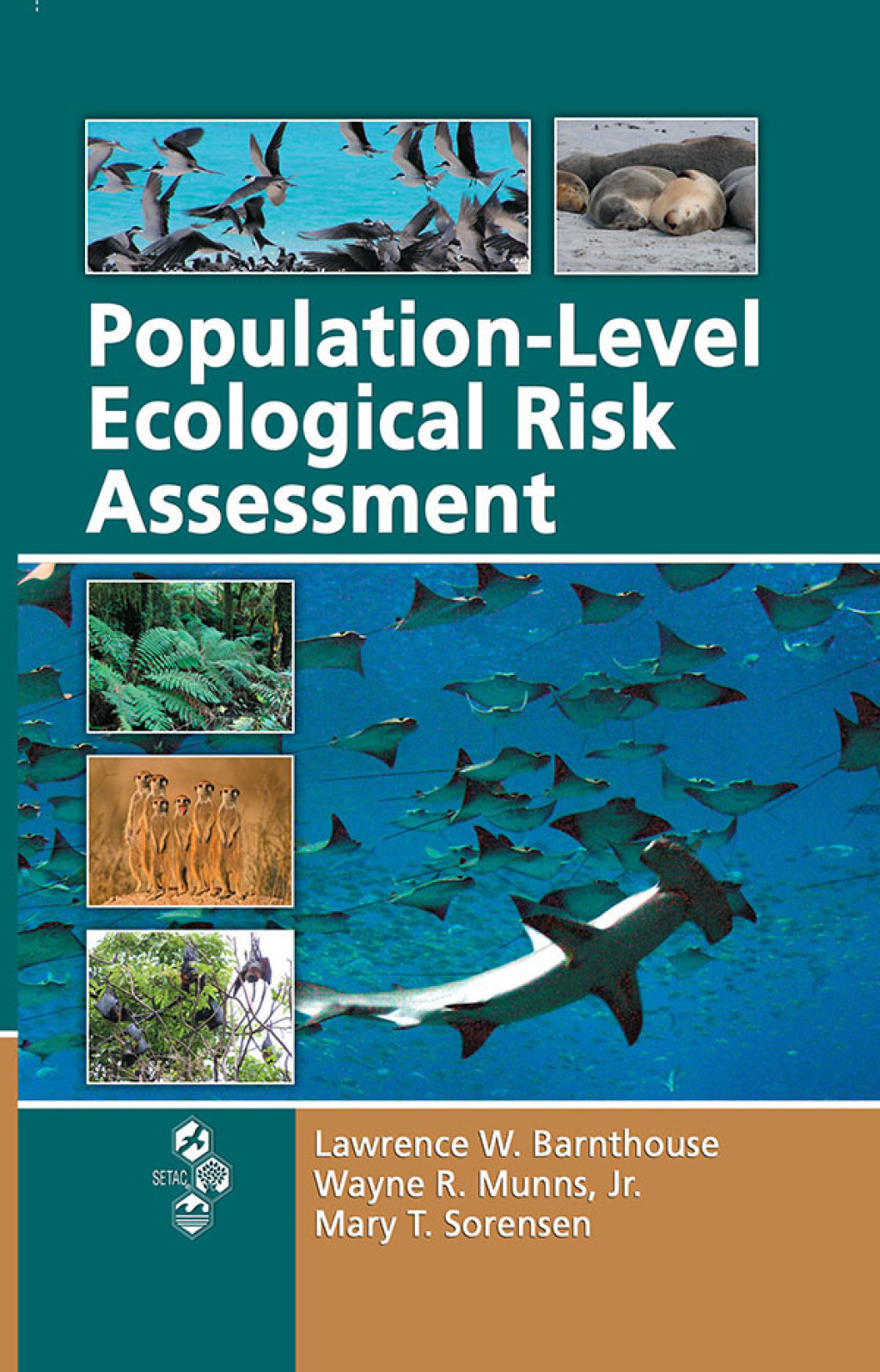 Population-Level Ecological Risk Assessment 1st Edition