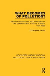 Cover image: What Becomes of Pollution? 1st edition 9780367362089