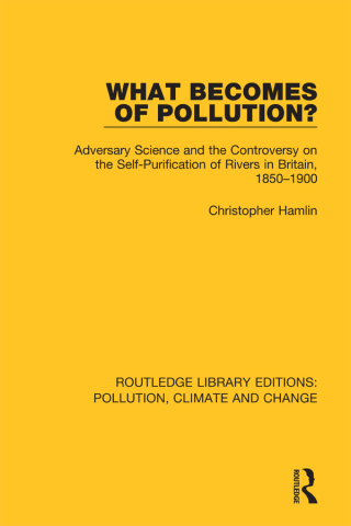 Cover image: What Becomes of Pollution? 1st edition 9780367362089