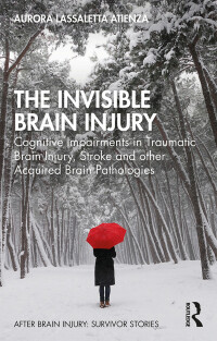 Omslagafbeelding: The Invisible Brain Injury 1st edition 9780367254049