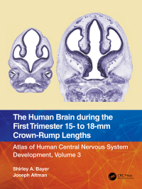 Omslagafbeelding: The Human Brain during the First Trimester 15- to 18-mm Crown-Rump Lengths 1st edition 9781032183299