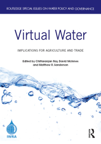 Cover image: Virtual Water 1st edition 9781032083971