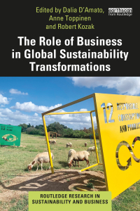 Omslagafbeelding: The Role of Business in Global Sustainability Transformations 1st edition 9780367434823