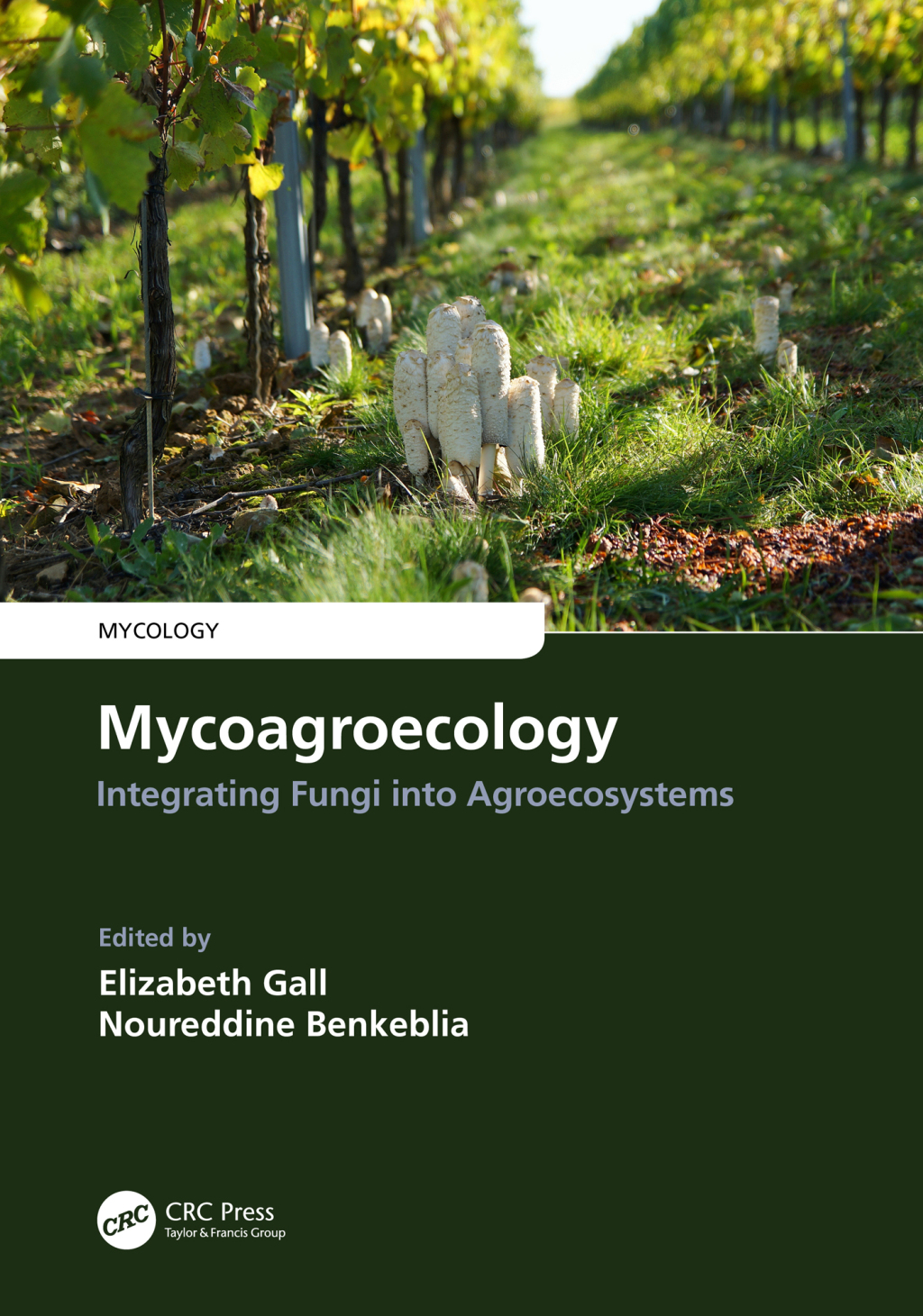 Mycoagroecology Integrating Fungi into Agroecosystems 1st Edition