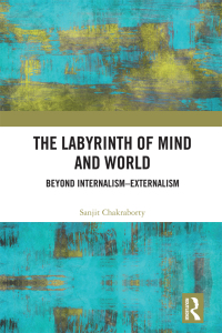 Cover image: The Labyrinth of Mind and World 1st edition 9781032176215