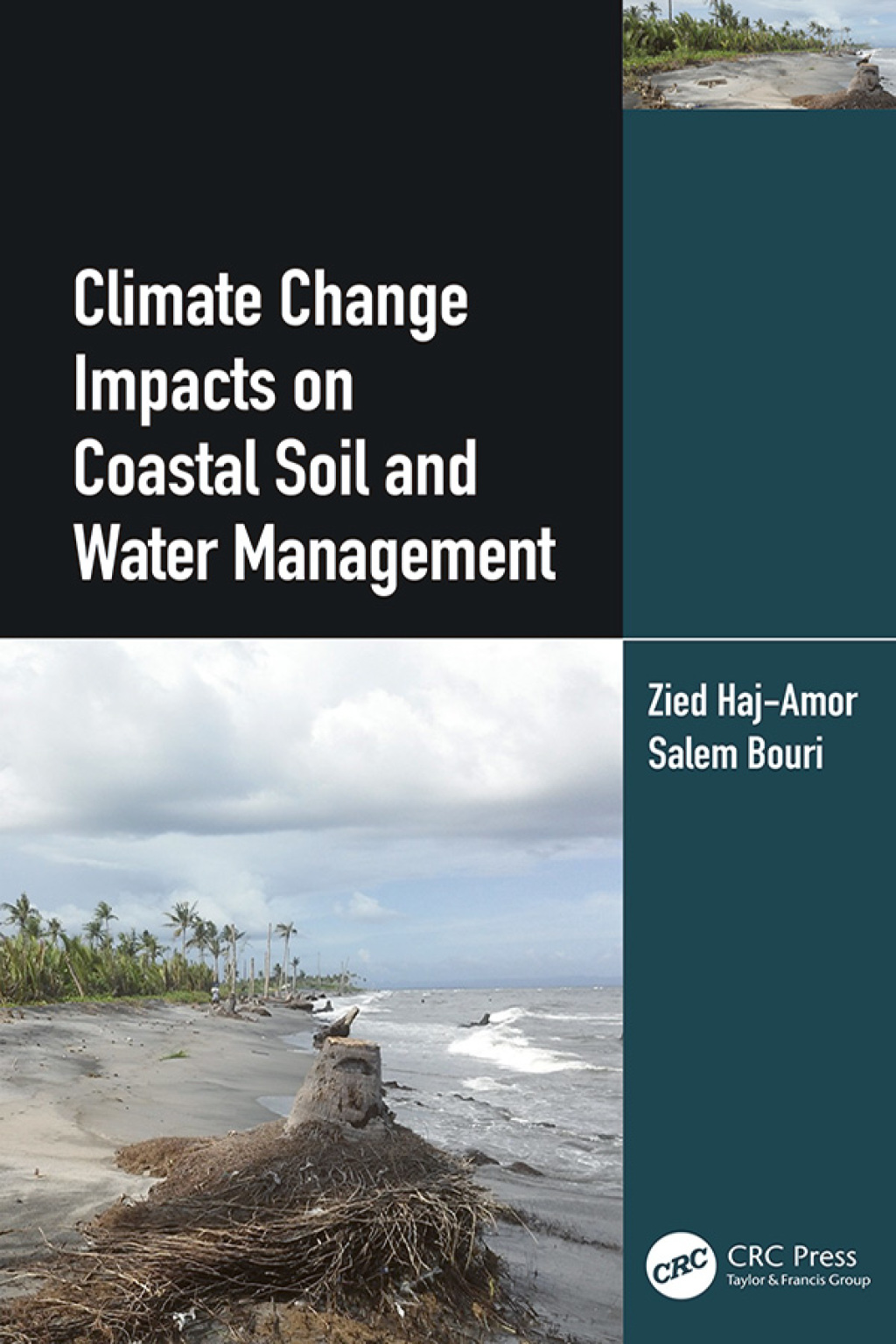Climate Change Impacts on Coastal Soil and Water Management 1st Edition