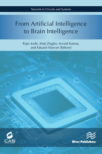 Omslagafbeelding: From Artificial Intelligence to Brain Intelligence 1st edition 9788770221238