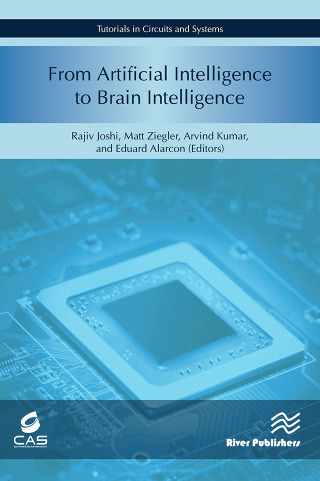 صورة الغلاف: From Artificial Intelligence to Brain Intelligence 1st edition 9788770043397