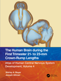 Titelbild: The Human Brain during the First Trimester 21- to 23-mm Crown-Rump Lengths 1st edition 9781032183312