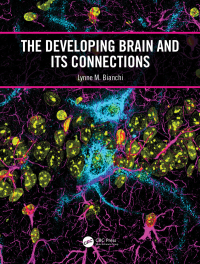 Cover image: The Developing Brain and its Connections 1st edition 9780367749903