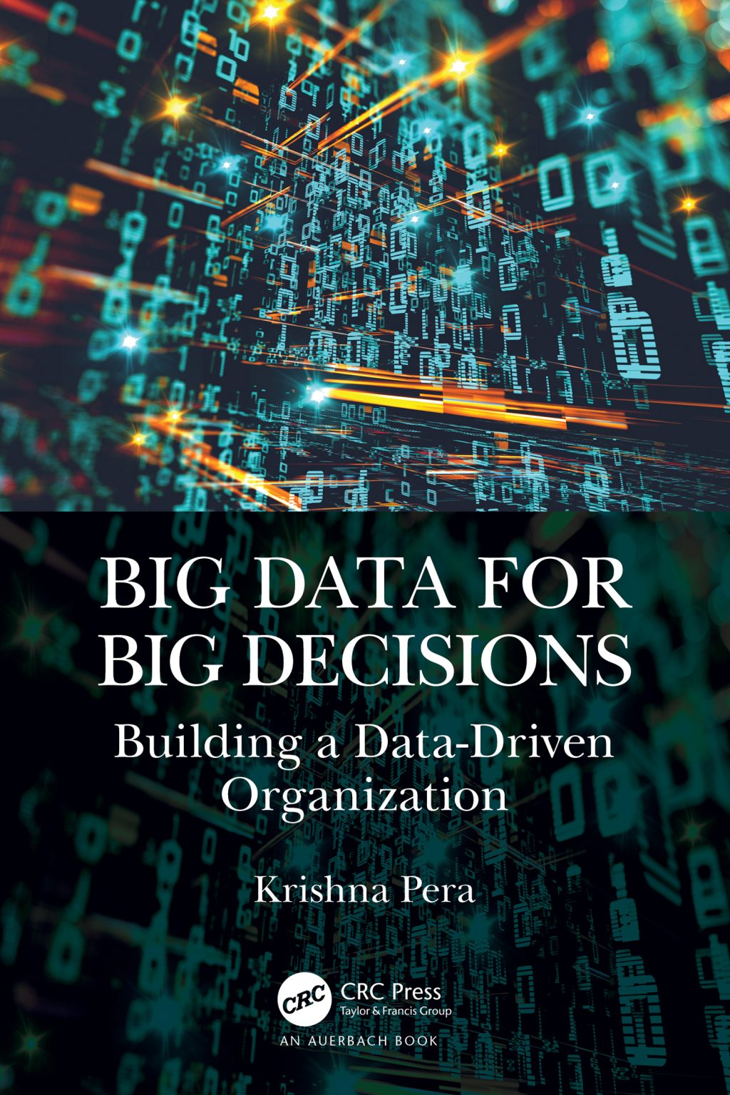 Big Data for Big Decisions Building a Data-Driven Organization 1st Edition