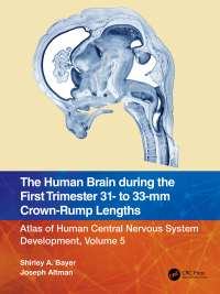Omslagafbeelding: The Human Brain during the First Trimester 31- to 33-mm Crown-Rump Lengths 1st edition 9781032183336