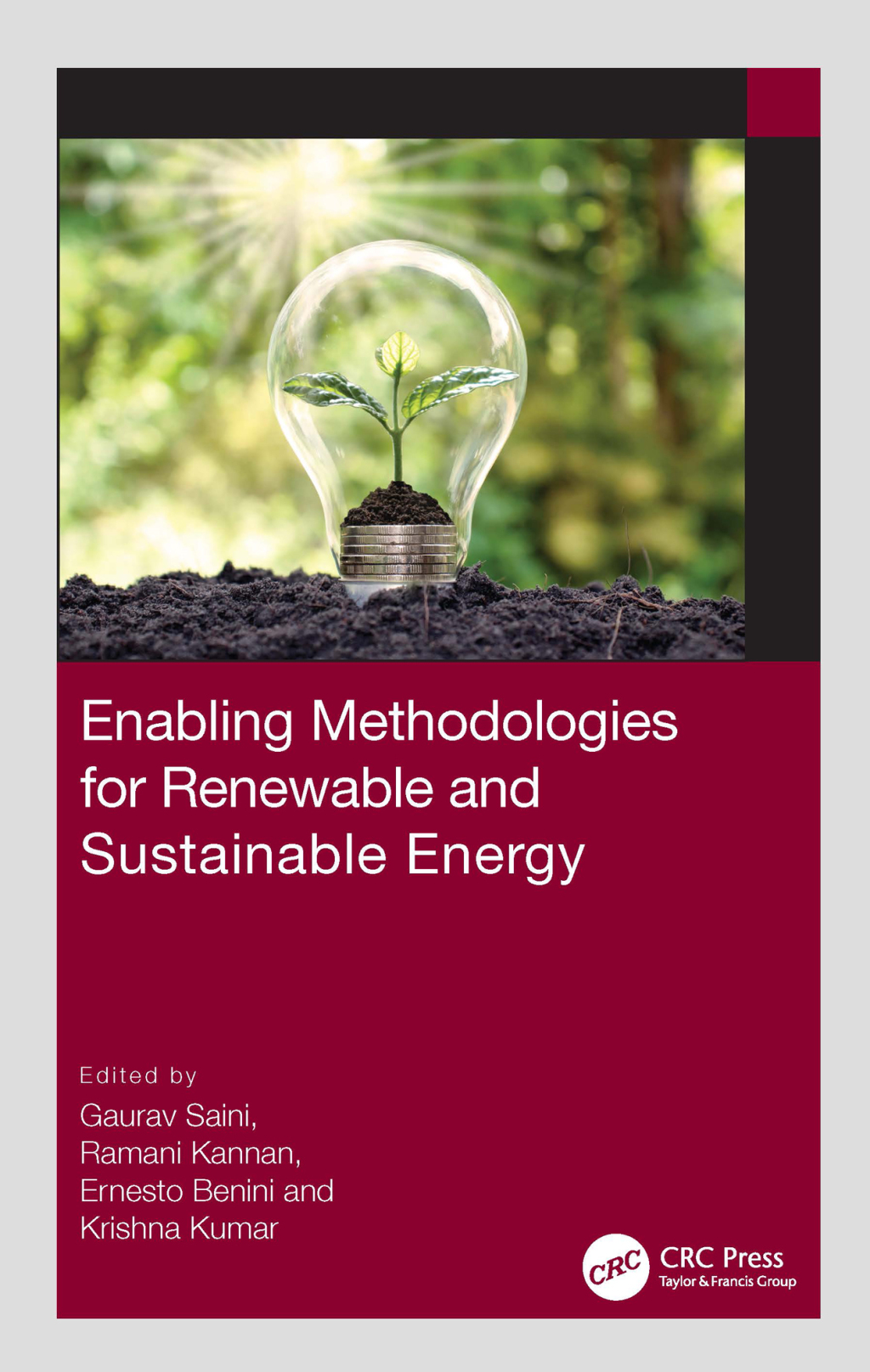 Enabling Methodologies for Renewable and Sustainable Energy 1st Edition