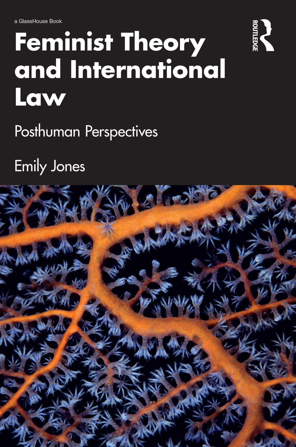 Feminist Theory and International Law Posthuman Perspectives 1st Edition