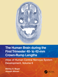 صورة الغلاف: The Human Brain during the First Trimester 40- to 42-mm Crown-Rump Lengths 1st edition 9781032183343