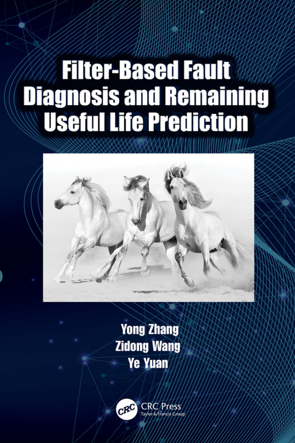 Filter-Based Fault Diagnosis and Remaining Useful Life Prediction 1st Edition