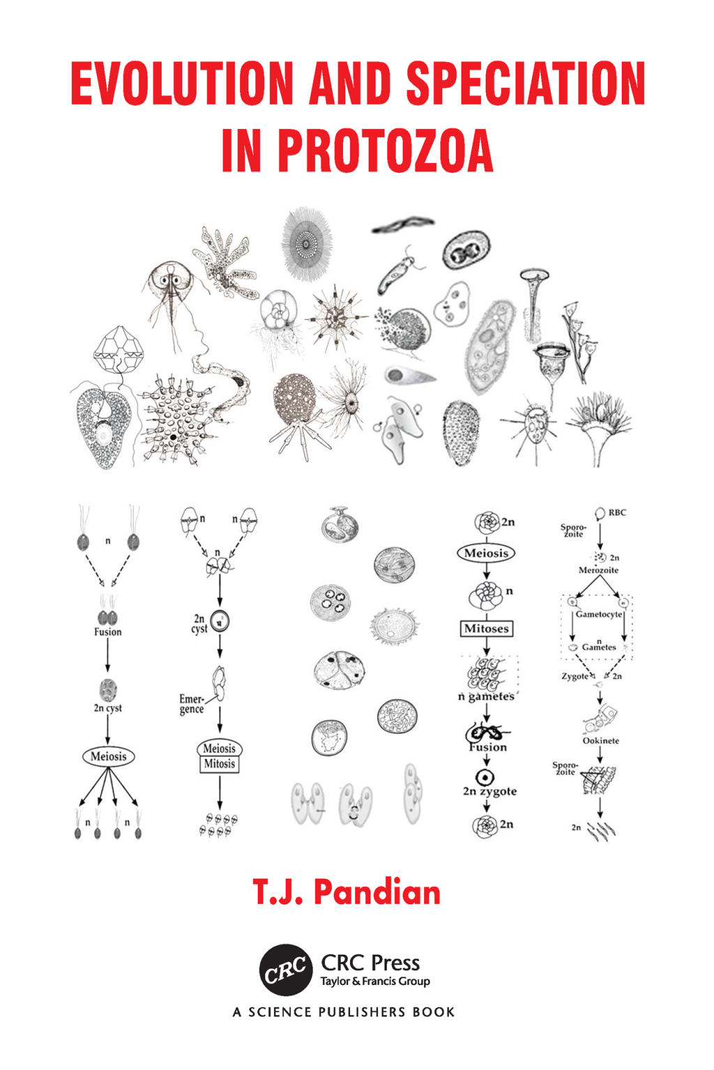 ISBN 9781032347516 - Evolution and Speciation in Protozoa - 1st Edition ...