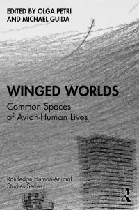 Cover image: Winged Worlds 1st edition 9781032369716