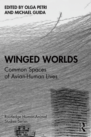 表紙画像: Winged Worlds 1st edition 9781032369716