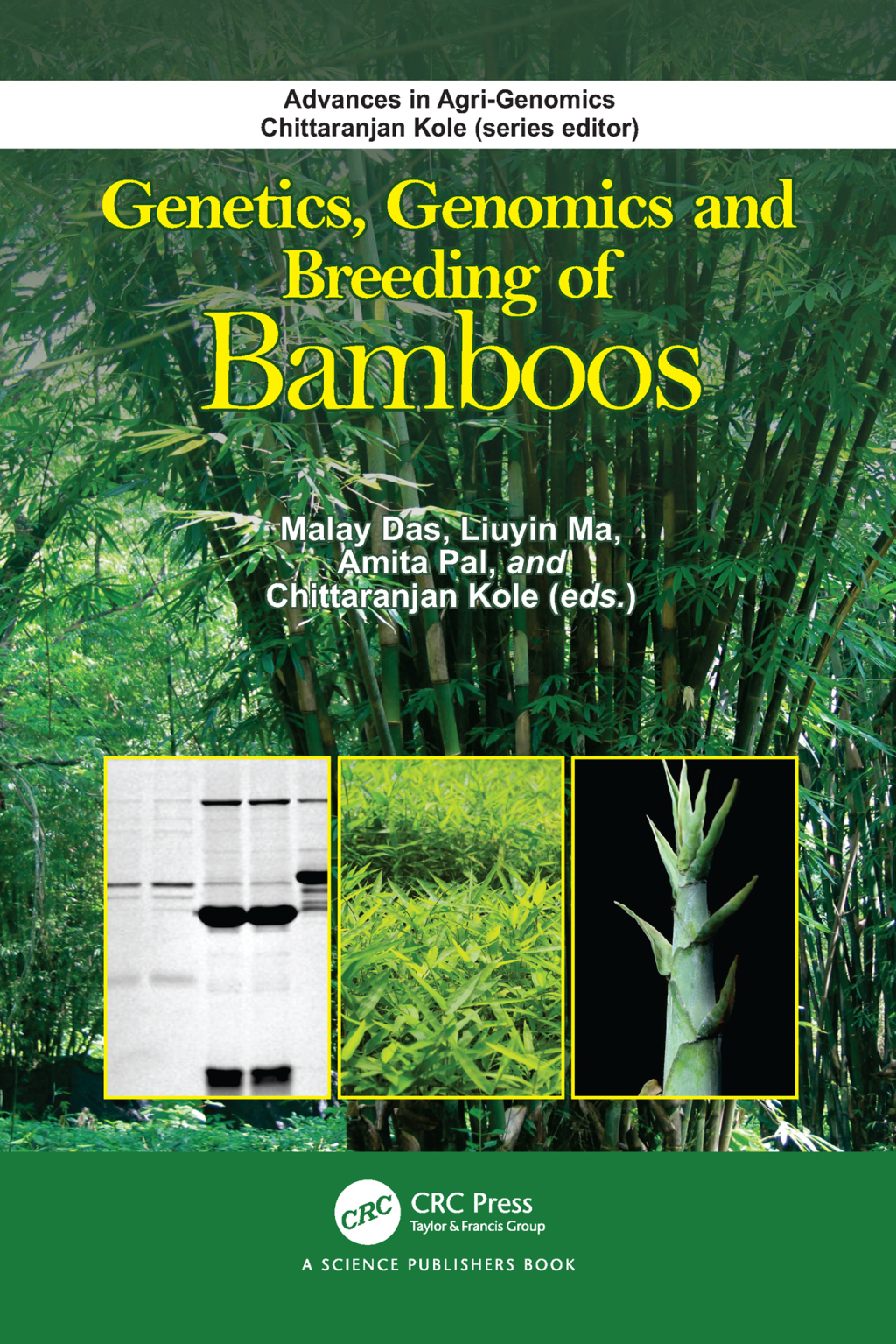 Genetics, Genomics and Breeding of Bamboos 1st Edition