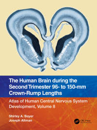 Immagine di copertina: The Human Brain during the Second Trimester 96– to 150–mm Crown-Rump Lengths 1st edition 9781032224619