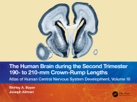 Cover image: The Human Brain during the Second Trimester 190– to 210–mm Crown-Rump Lengths 1st edition 9781032219394