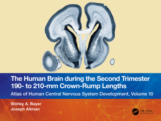Cover image: The Human Brain during the Second Trimester 190– to 210–mm Crown-Rump Lengths 1st edition 9781032219394