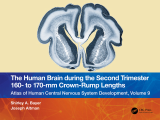 Cover image: The Human Brain during the Second Trimester 160– to 170–mm Crown-Rump Lengths 1st edition 9781032219431