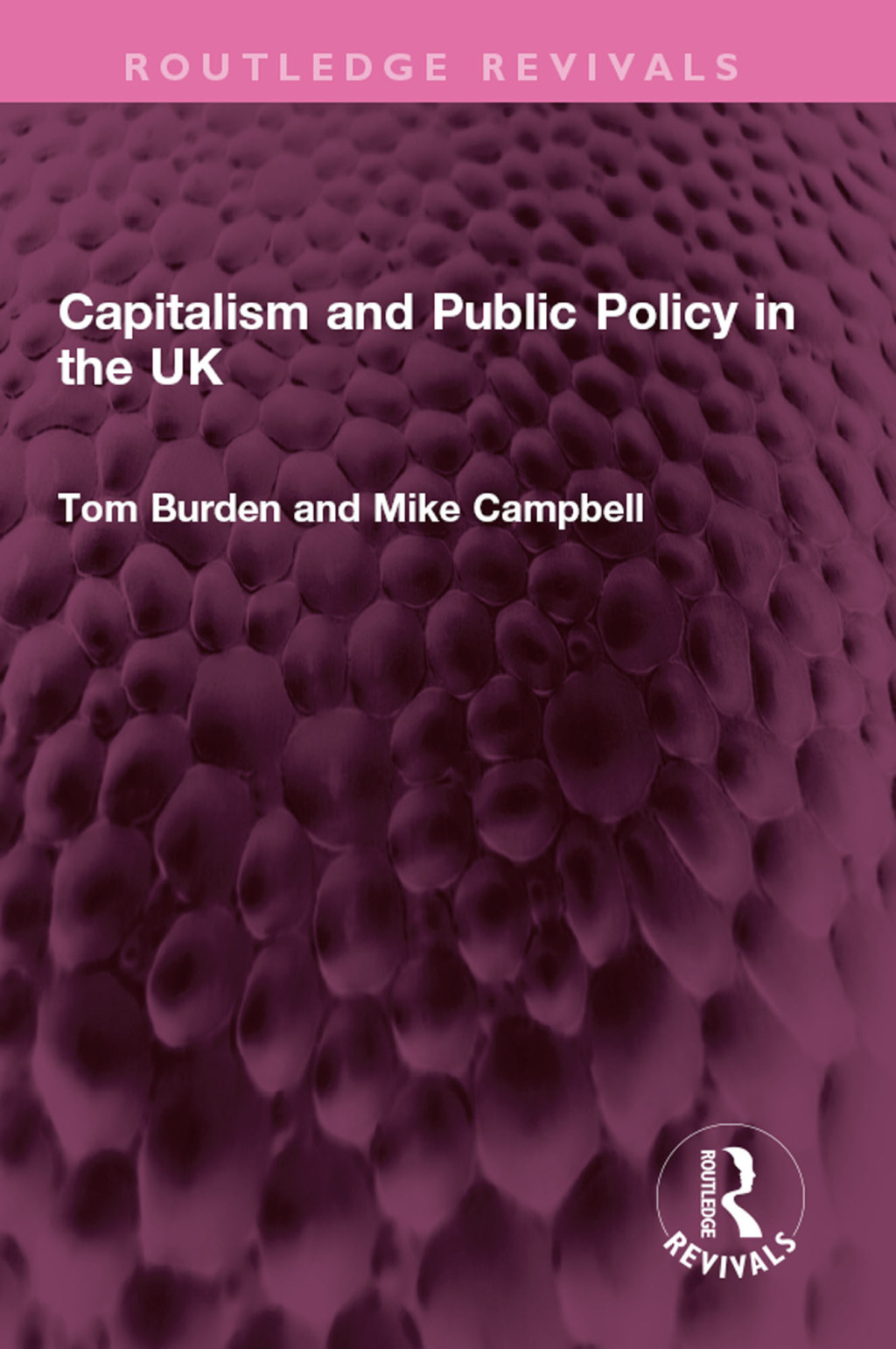 Capitalism and Public Policy in the UK 1st Edition