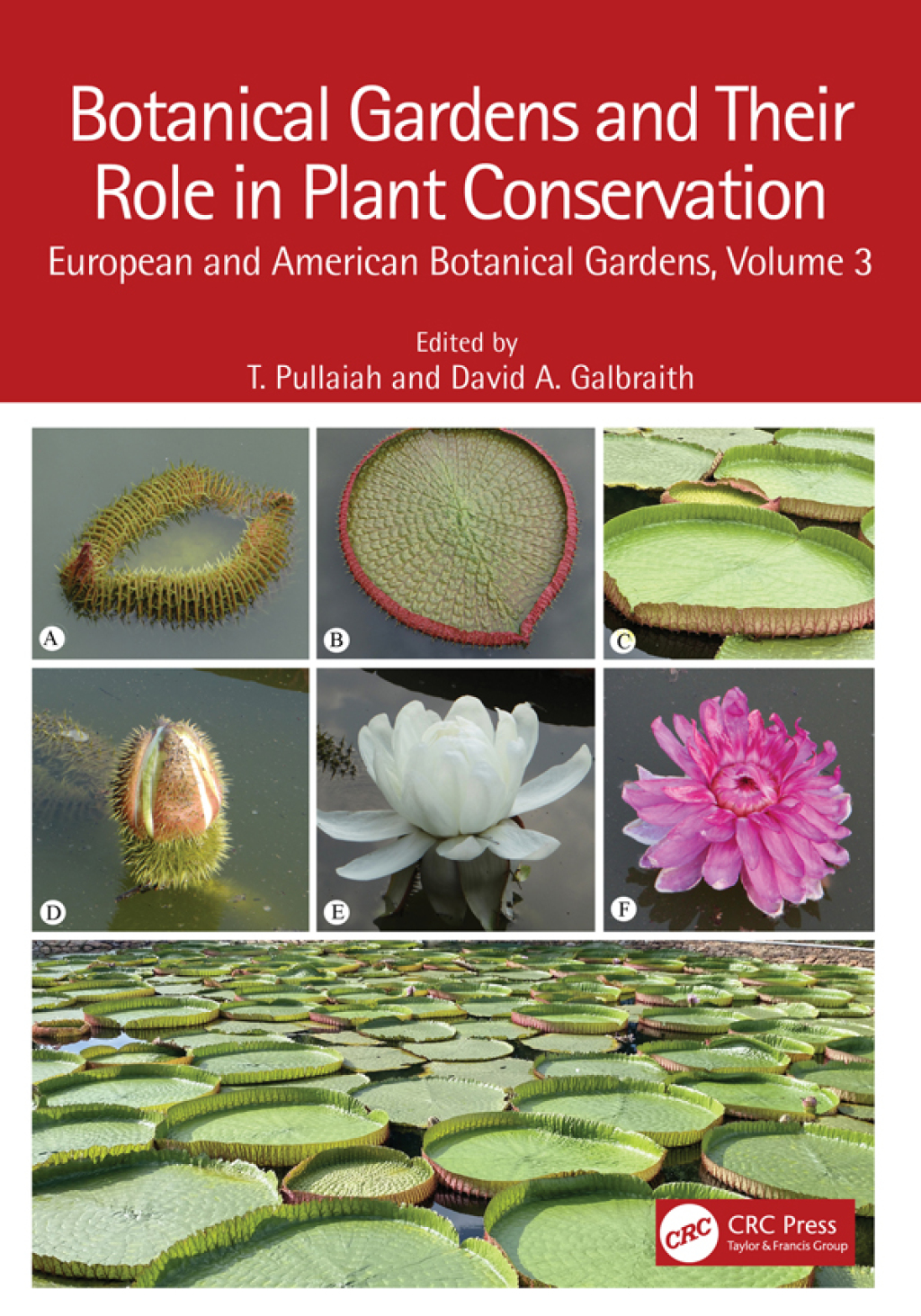 Botanical Gardens and Their Role in Plant Conservation European and American Botanical Gardens, Volume 3 1st Edition
