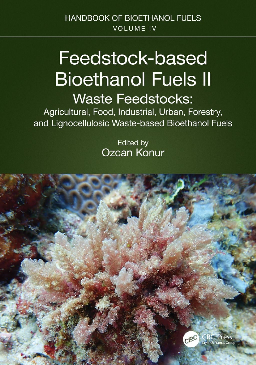 Feedstock-based Bioethanol Fuels. II. Waste Feedstocks Agricultural, Food, Industrial, Urban, Forestry, and Lignocellulosic Waste-based Bioethanol Fuels 1st Edition